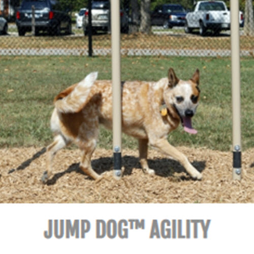 CAD Drawings BIM Models Gyms For Dogs Dog Park Outfitters Agility